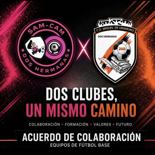 colaboracion-1