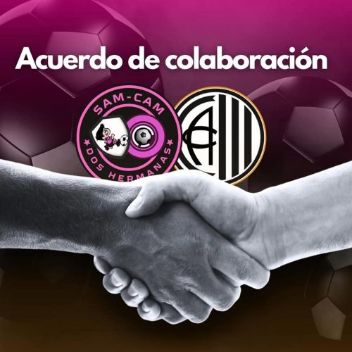 colaboracion-2